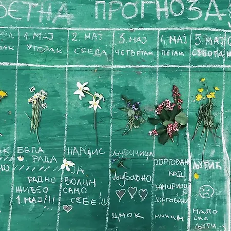 Vikendica House Divcibare