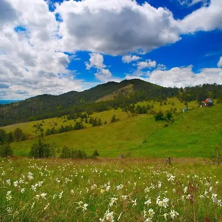 House Holiday home Divcibare