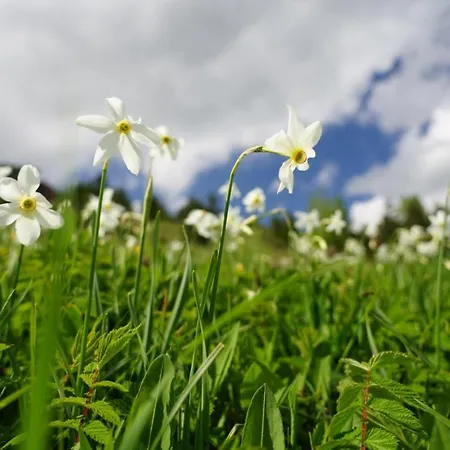Holiday home House *