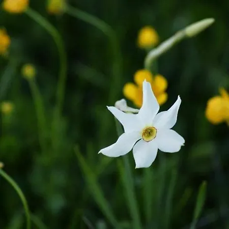 Holiday home House *