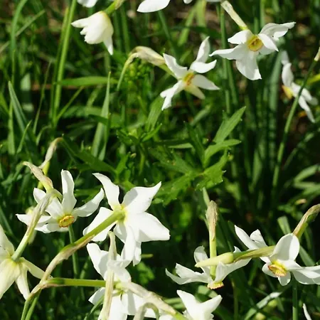 House Holiday home *