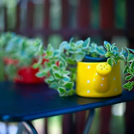 בית נופש House