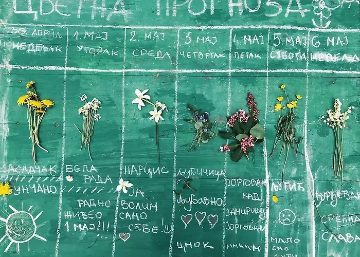 Vikendica House Divcibare