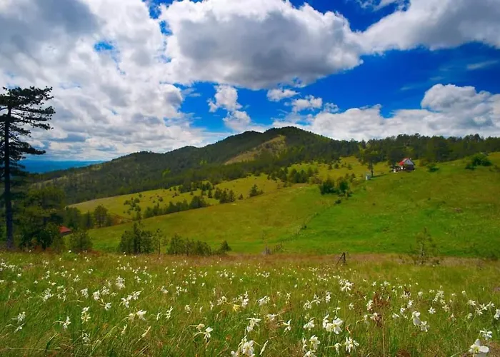 House Vikendica Divcibare