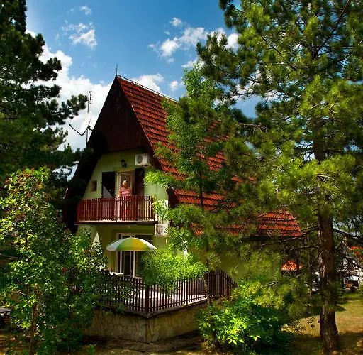 Vikendica House Divcibare